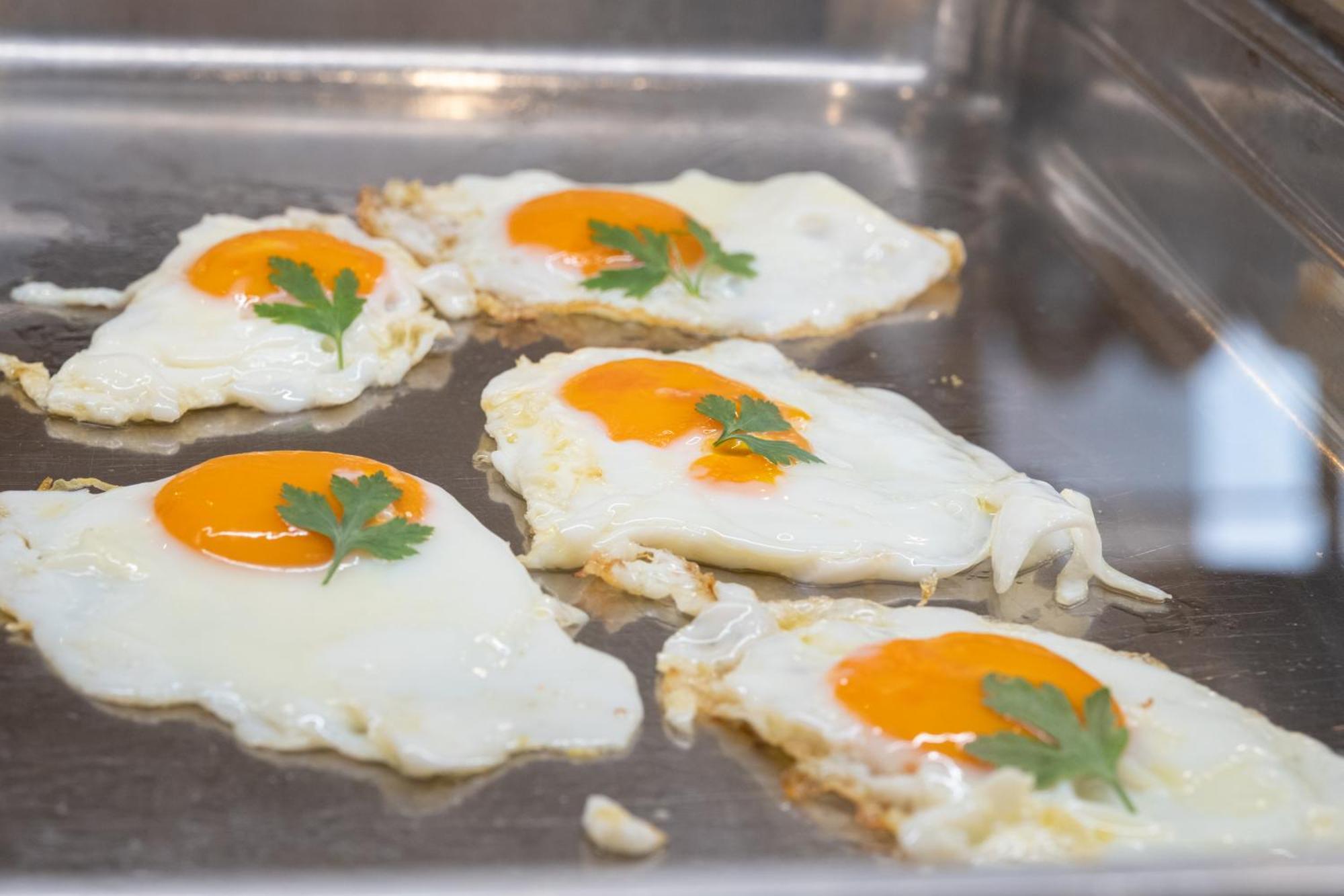 Hotel Capitol Gatteo a Mare Ngoại thất bức ảnh